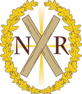 Logo NPR nou color300x 263x300 Departamentul Zero are partid : Neamul Romanesc !