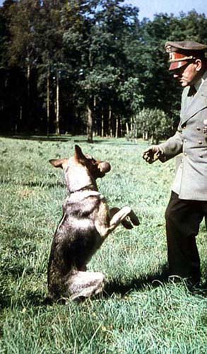 Cainii vorbitori ai lui Hitler