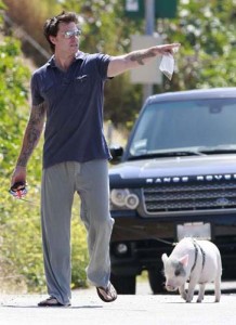Pig-Walking Duties For Clean-Shaven Dean McDermott? - Ziarul National
