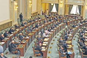 SENAT-FANE (2) copy - Ziarul National