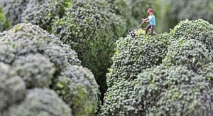 Amazing Tiny People - Ziarul National