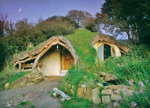 casa-ecologica 3 copy - Ziarul National