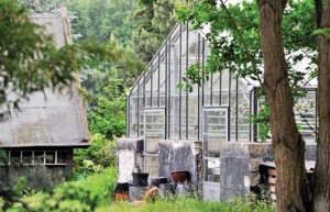 ferme copy - Ziarul National
