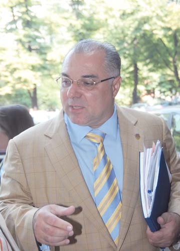 Maidanezii, sacrificati in interes electoral
