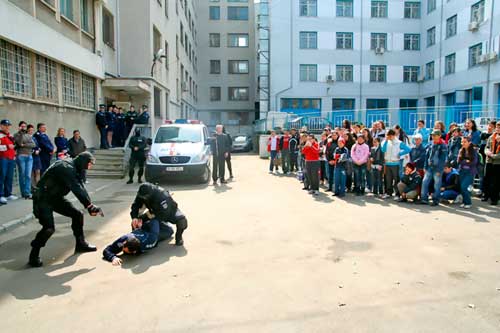 „Crima Organizata” destructureaza clanuri mafiote la norma