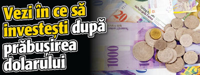 Vezi in ce sa investesti dupa prabusirea dolarului