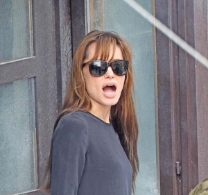 Angelina Jolie Carries On Without Brad And Boys - Ziarul National