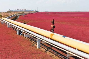 pipeline - Ziarul National