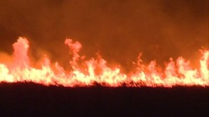 delta_incendiu_76465500 - Ziarul National