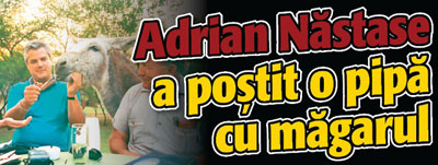 Nastase  a postit o pipa cu magarul