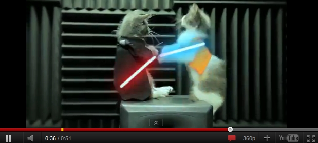 Pisicile Jedi fac legea pe Youtube