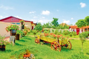 thumb_900_x_598_20217-142097-gradina_2 - Ziarul National