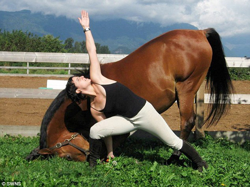 El e Lewis, armasarul care face yoga