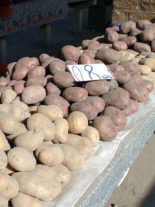 catrofi la taraba - Ziarul National
