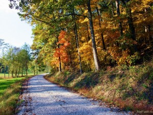toamna-vreme - Ziarul National
