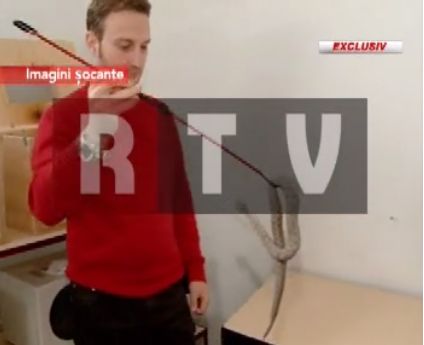 SOCANT Vezi cum a fost muscat Andrei Iucinu, fiul lui Dumitru Tinu, de vipera! VIDEO
