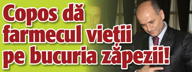Copos da farmecul vietii pe bucuria zapezii!