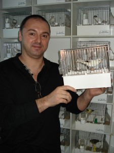 Dl Sorin Florea cu campionul Serbiei de seniori 2010 denumit FRANK SINATRA - Ziarul National
