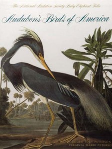 books_birdsofamerica_600x450 - Ziarul National