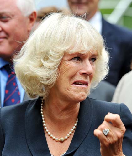 Camilla ii da sfaturi de frumusete lui Kate Middleton