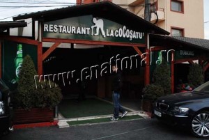 Cocosatu - Ziarul National' - Narcis Pop (26)