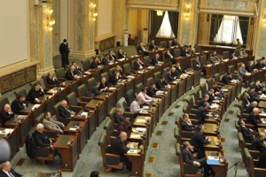 senat - Ziarul National