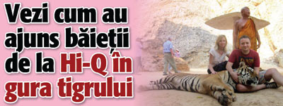 Vezi cum au ajuns baietii de la Hi-Q in gura tigrului