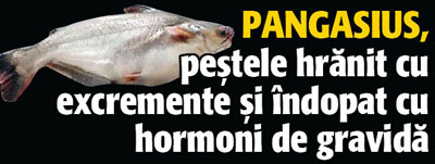 Pangasius, pestele hranit cu excremente si indopat cu hormoni de gravida