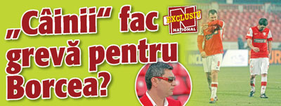 „Cainii” fac greva pentru Borcea?