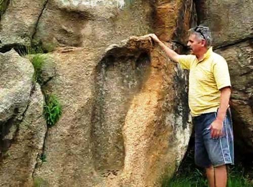 Talpa de 1,2 metri a unui urias de acum 200 milioane de ani
