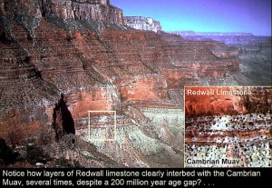 Observatiile geologice ale lui Nicolas Steno Observatiile geologice ale lui Nicolas Steno