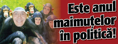 Este anul maimutelor in politica