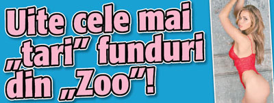 Uite cele mai “tari” funduri din “Zoo”!