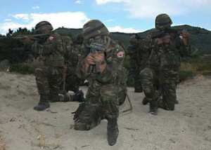comando nato - Ziarul National