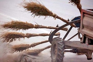 A Self-made Road Sweeper In Hubei - Ziarul National