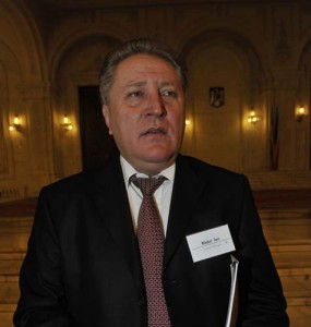 radoi - Ziarul National