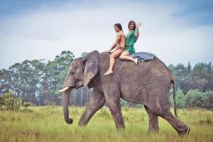 tarzan 2 - Ziarul National