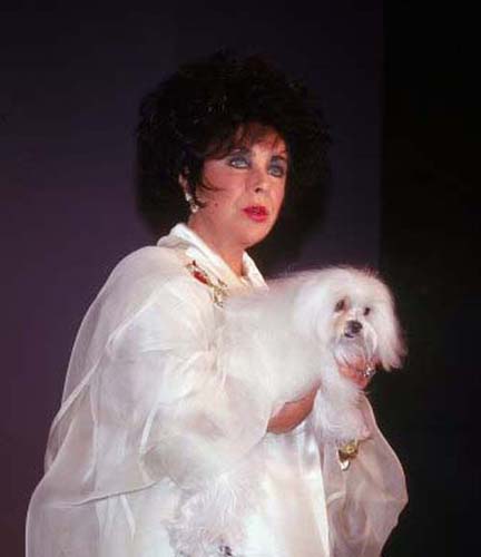 A inceput batalia pe cateii lui Elisabeth Taylor
