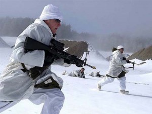 militari arctici - Ziarul National