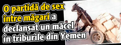 O partida de sex intre magari a declansat un macel in triburile din Yemen