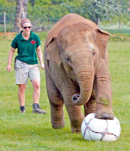 Mara-Donna de la Zoo!