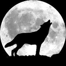 „Superluna”: Temeri legate de momentul in care Luna va fi cel mai aproape de Pamant