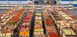 produse agricole olanda - Ziarul National