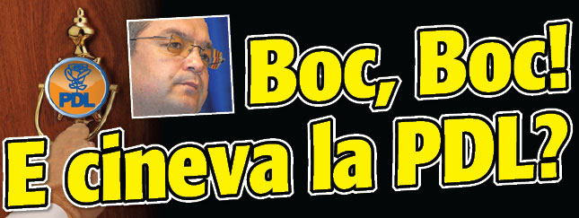 Boc, Boc! E cineva la PDL?