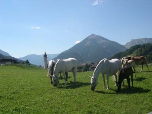 Peisaj din Achenkirch, districtul Tirol - Ziarul National