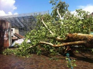Venice-tornado - Ziarul National