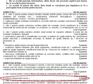 barem-subiect-romana-evaluare-nationala-2012-subiectiva - Ziarul National