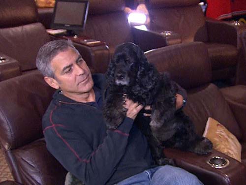 Clooney si-a dus catelul la spa!