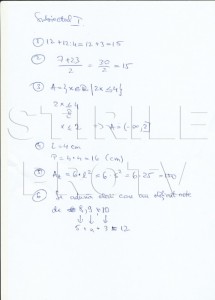 rezolvare matematica - Ziarul National