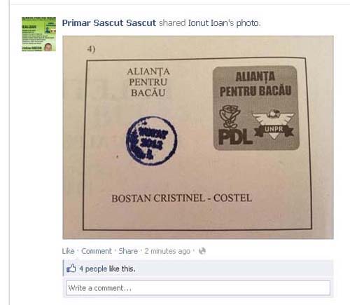 Buletin de vot, vedeta pe Facebook